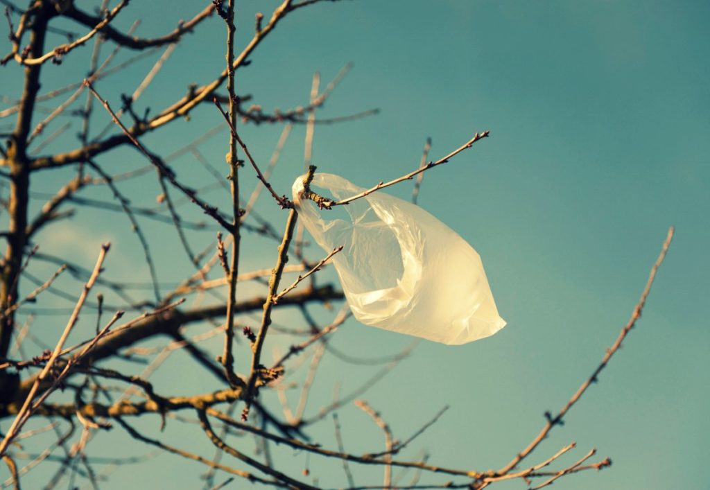 Vers des évènements zéro déchet, zéro plastique