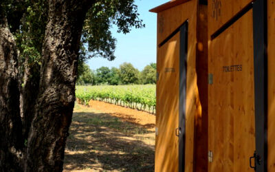 Journée champêtre dans les vignes