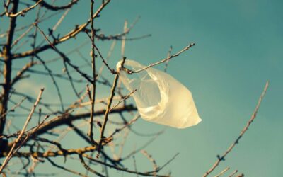 Vers des évènements zéro déchet, zéro plastique